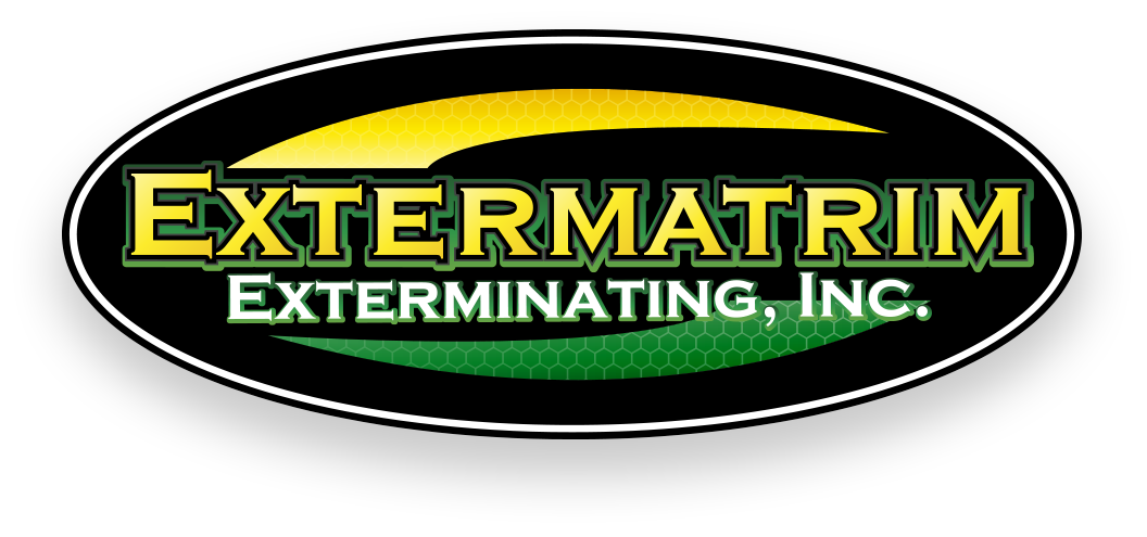 20-termite-service-agreement-forms-rheaganingrid